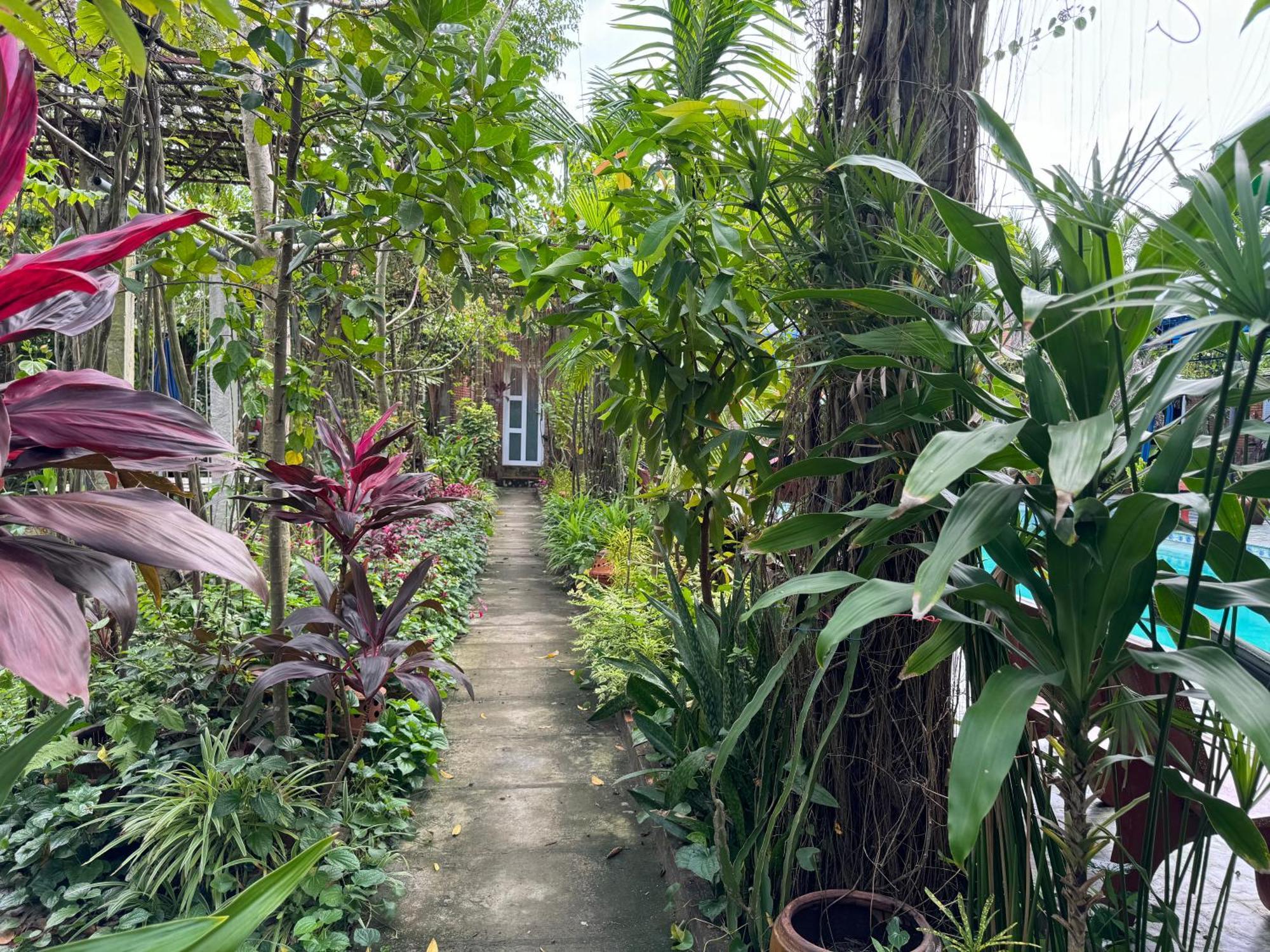 Bau Bi Mini Farmstay Mekong - Tien Giang หมีทอ ภายนอก รูปภาพ