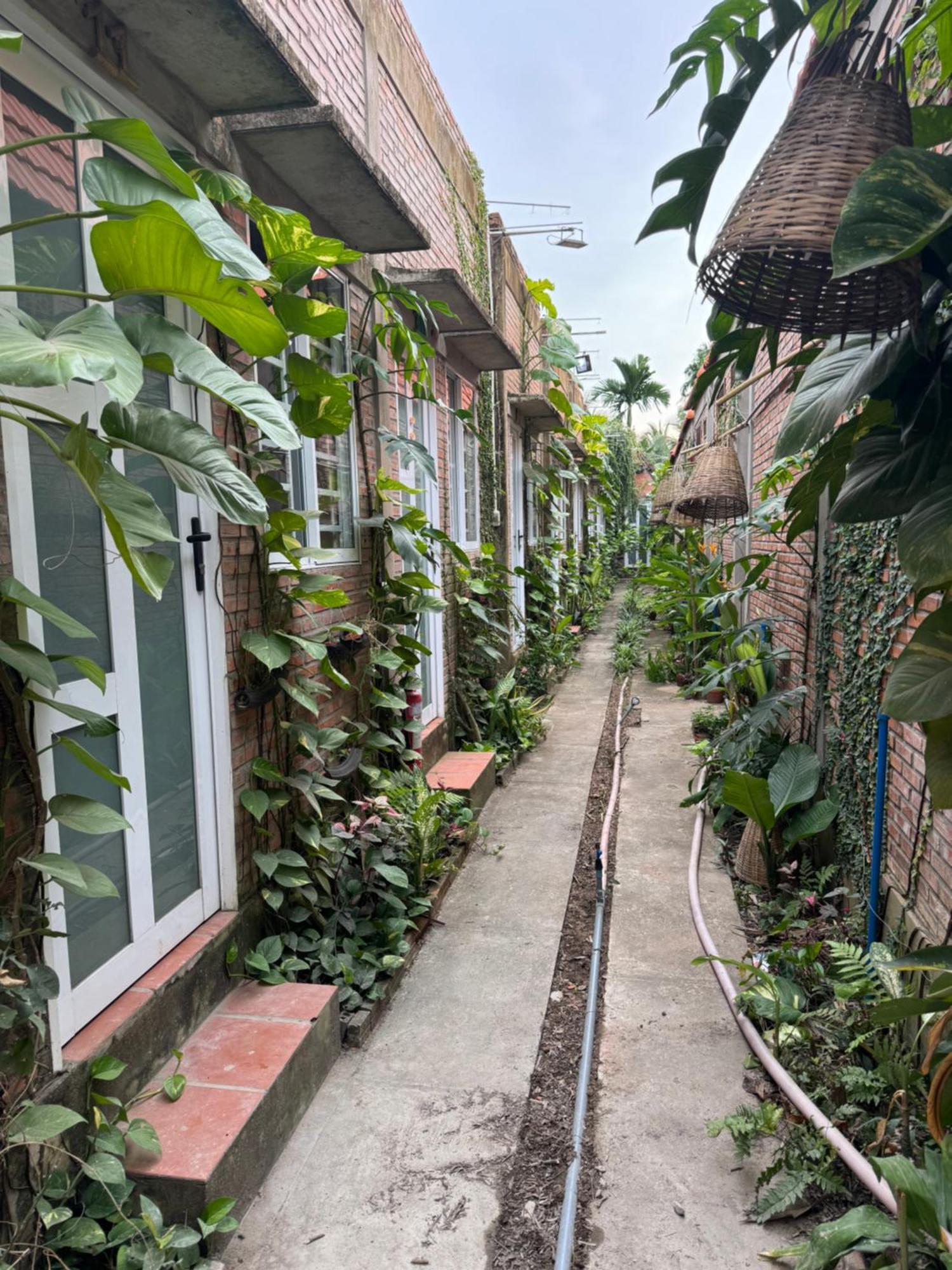 Bau Bi Mini Farmstay Mekong - Tien Giang หมีทอ ภายนอก รูปภาพ